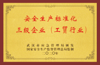 三級安全生產(chǎn)標(biāo)準(zhǔn)化